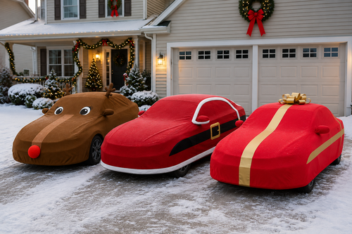 Santa Sleigh