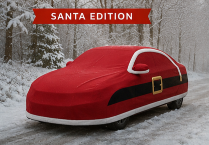 Santa Sleigh