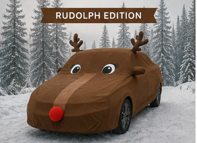 Santa Sleigh