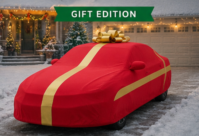 Santa Sleigh